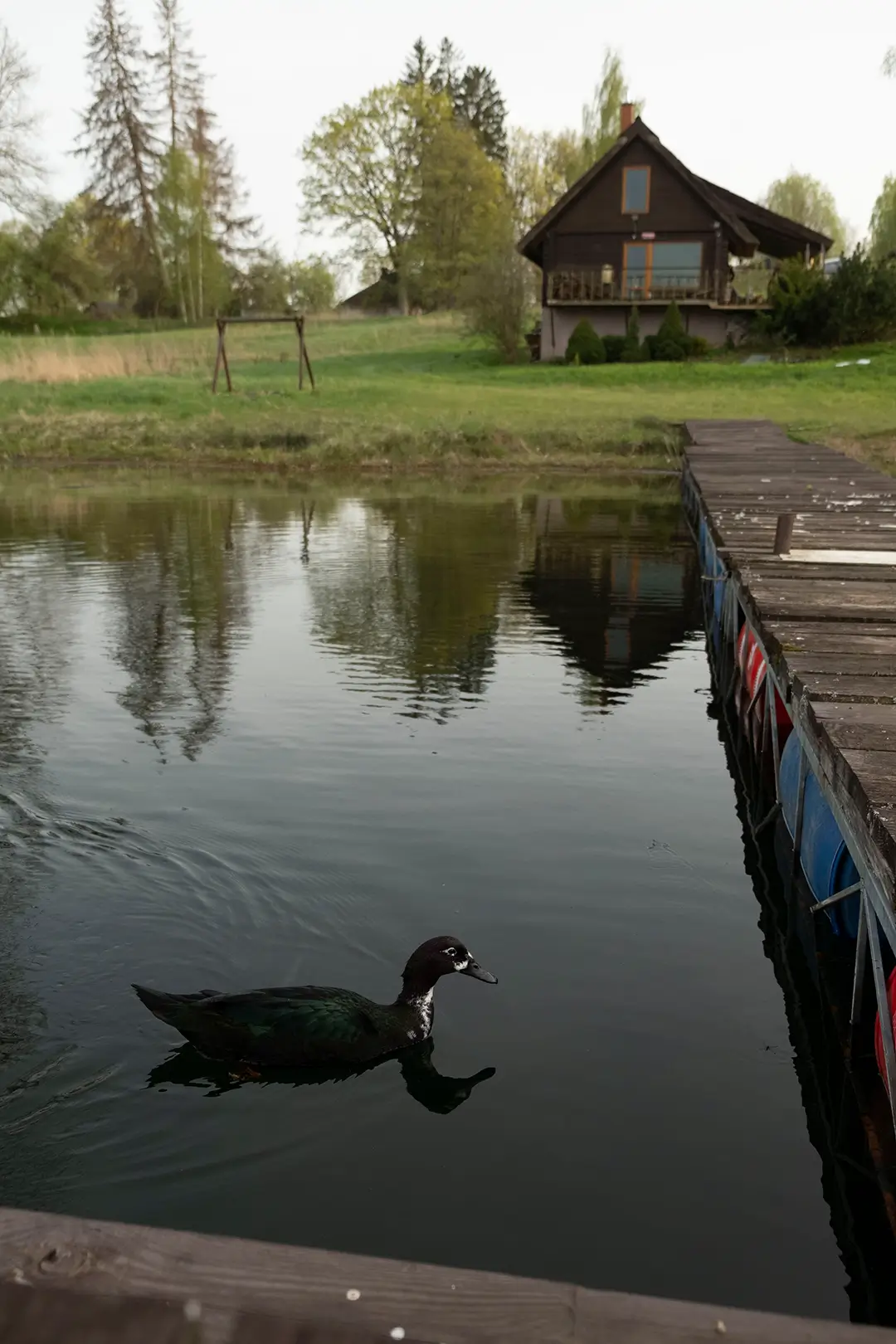 viesu nami ar pirti 03
