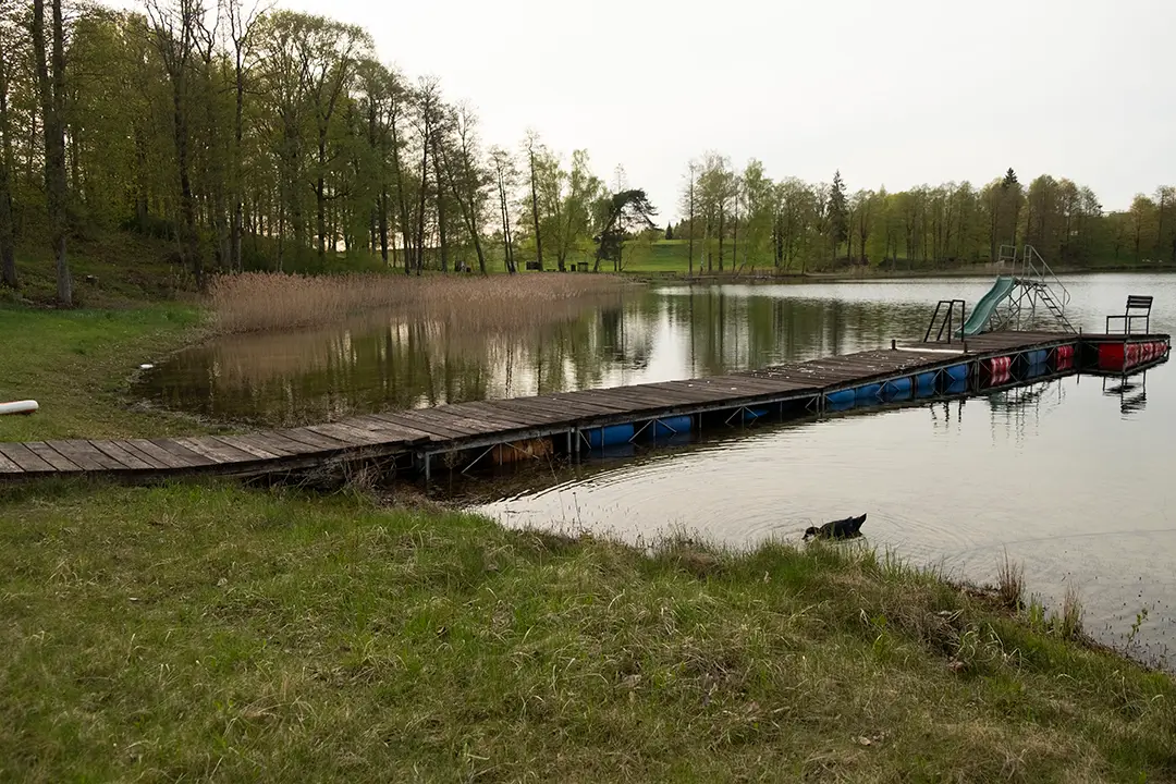viesu nami ar pirti 04